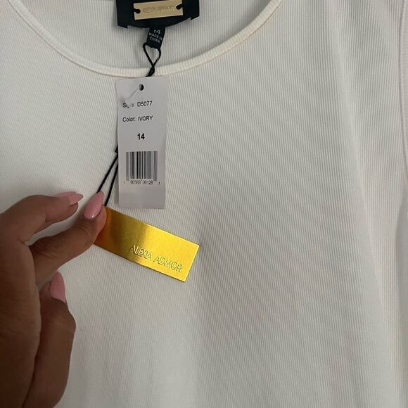 NWT Alexa Admor Drop Waist Dress - Picture 9 of 9